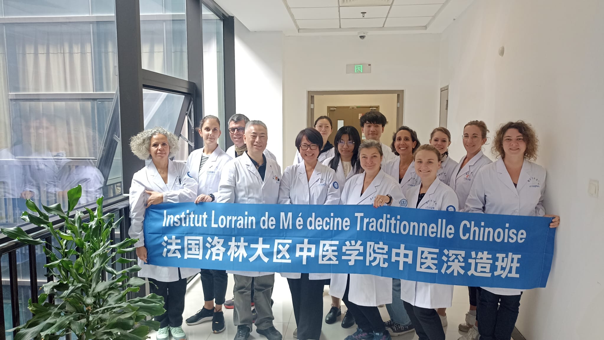 Stage clinique hospitalier médecine chinoise
